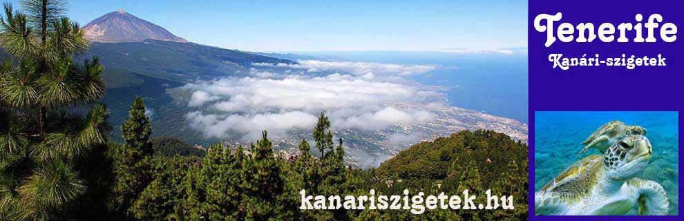 Kanári-szigetek, Tenerife Kanári-szigetek, Tenerife